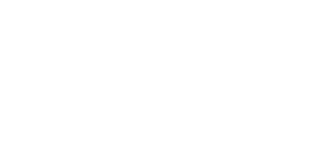 TDWI_2017_logo